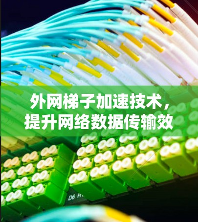 外网梯子加速技术，提升网络数据传输效率的关键方案
